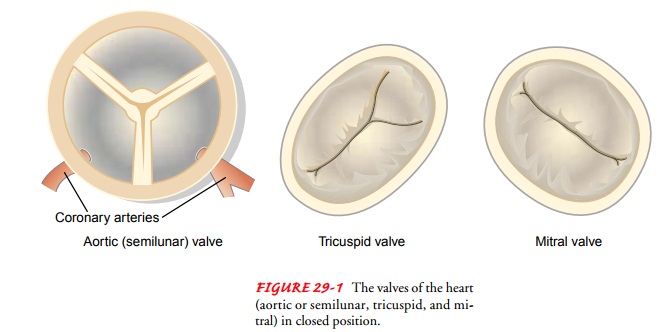 Acquired Valvular Disorders