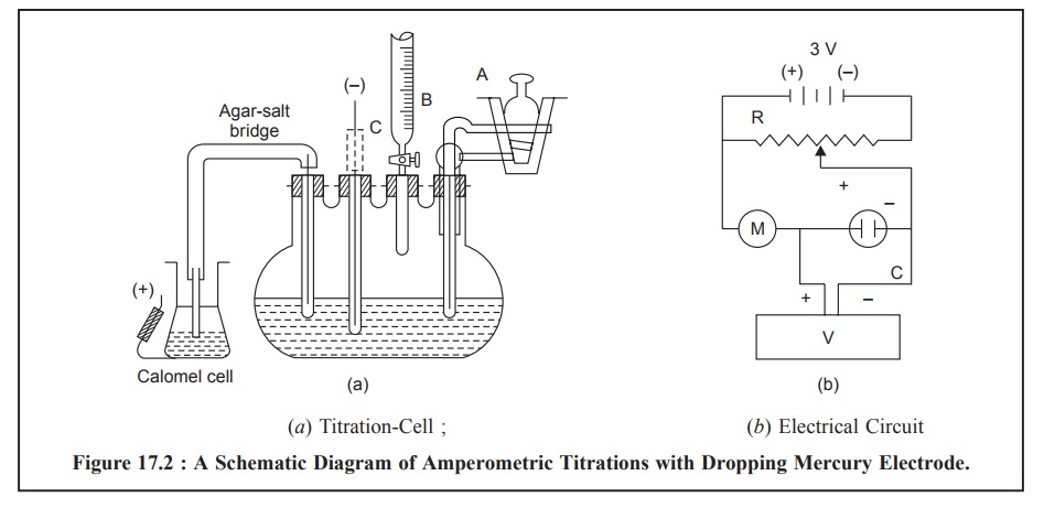 Amperometric Methods: Instrumentation