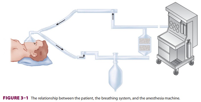 Anesthetic Equipment & Monitors : Breathing Systems