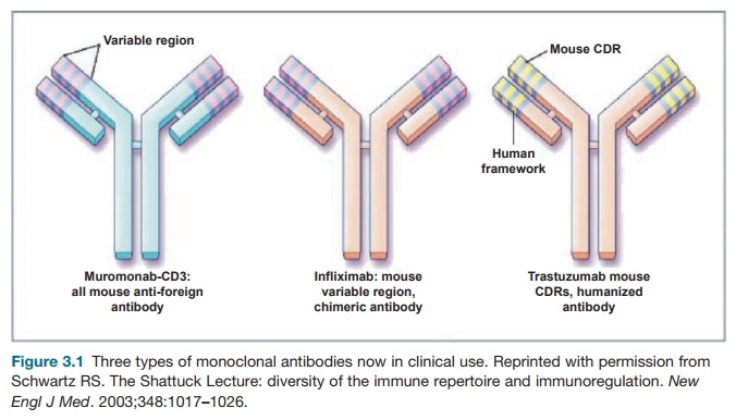 Antibodies and Other Immunosuppressive Methods