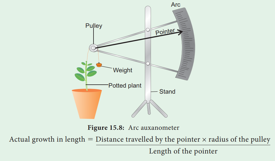 Arc auxanometer Experiment - Measurement of growth by direct method