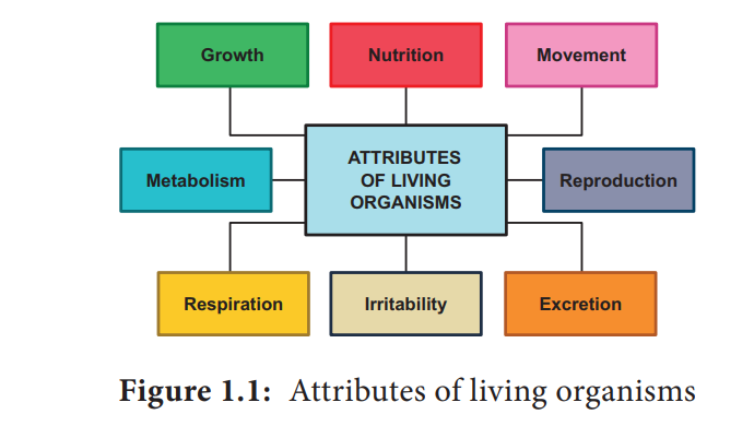 Attributes of living organisms