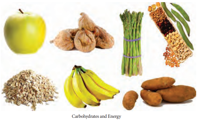 Carbohydrates and Energy