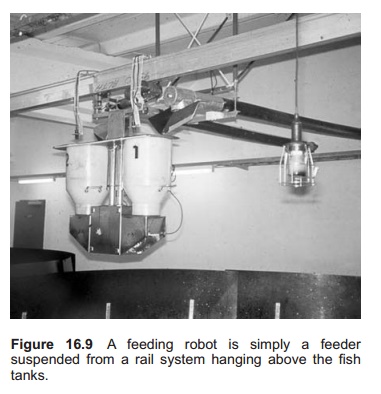 Central feeding system - feeding equipment in Aquaculture