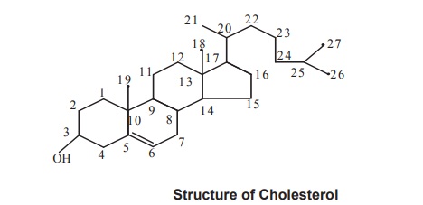 Cholesterol Biosynthesis
