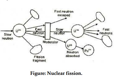 Construction and working principle of Pressurized Water Reactor (PWR)