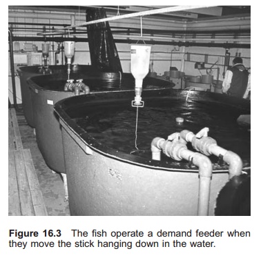 Demand feeders - feeding equipment in Aquaculture