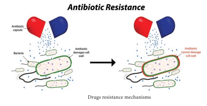 Drugs Resistance Mechanisms