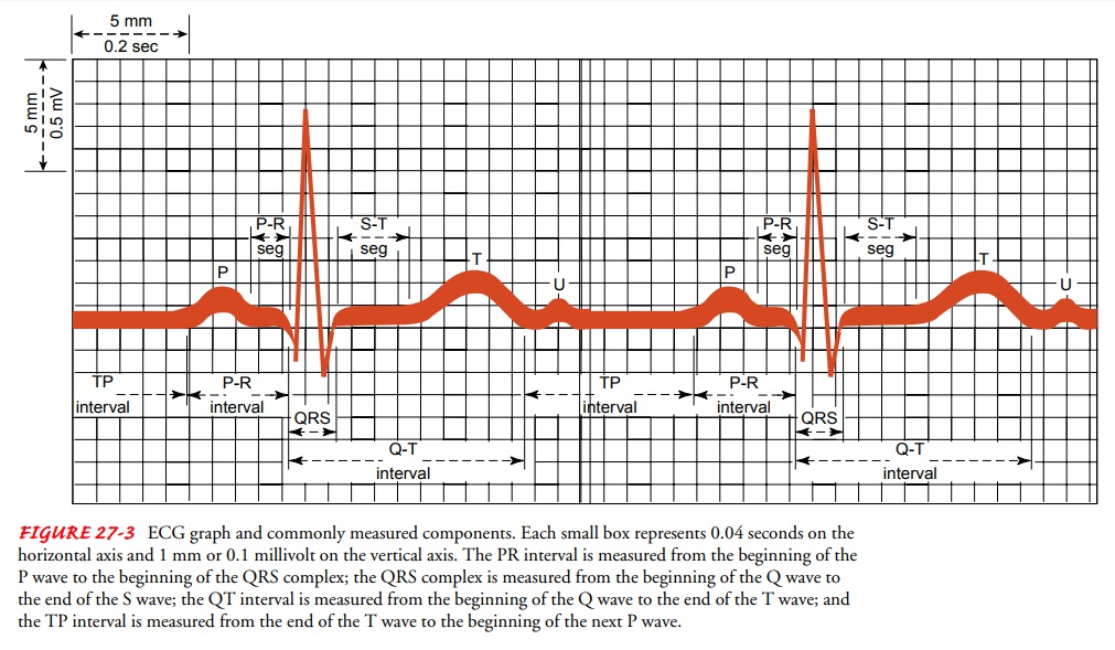 Dysrhythmias: Interpretation of the Electrocardiogram