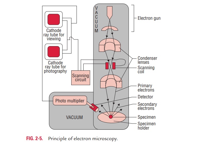 Electron microscopy