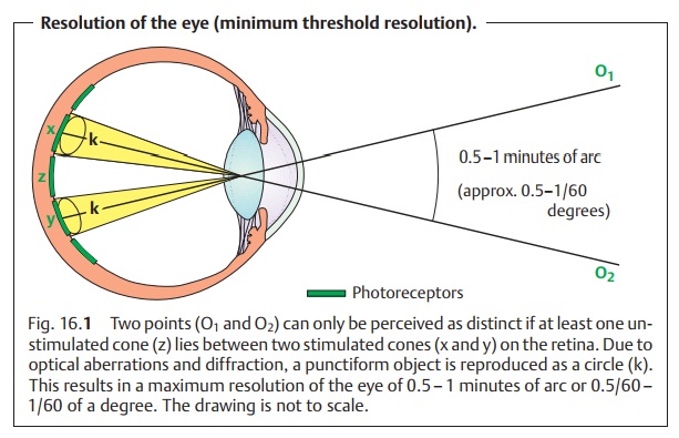Eye Optics and Refractive Errors