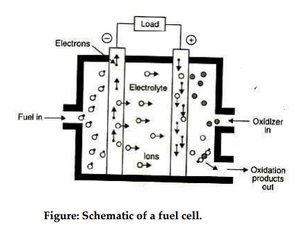 Fuel cell with Schematic diagram