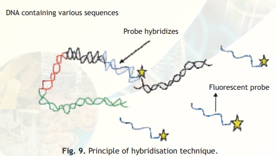 Hybridisation Techniques - Recombinant DNA Technology