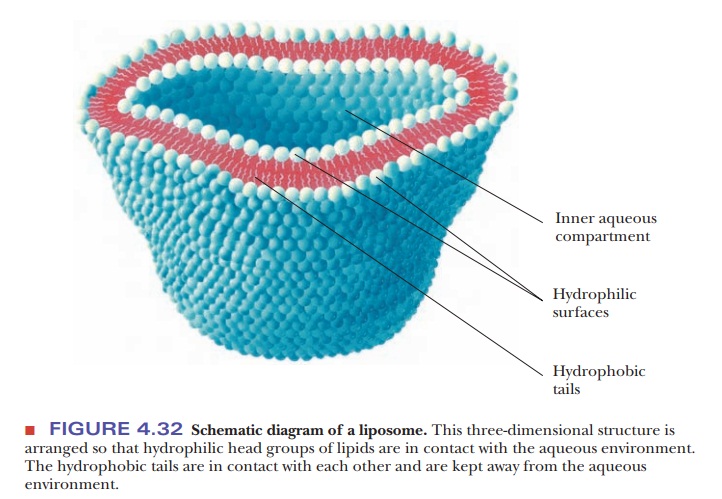 Hydrophobic Interactions:A Case Study in Thermodynamics