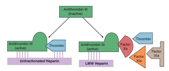 Indirect Thrombin Inhibitors