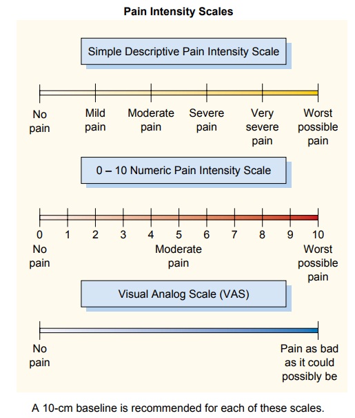 Instruments for Assessing the Perception of Pain