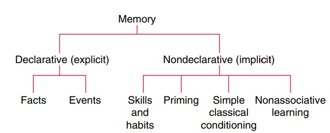 Major Subdivisions of Memory Systems