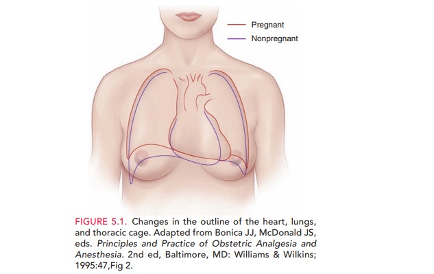 Maternal Physiology: Cardiovascular System