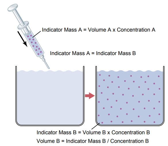 Measurement of Fluid Volumes in the Different Body Fluid Compartments-The Indicator-Dilution Principle