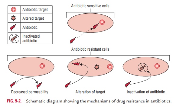 Mechanisms of Antibiotic Resistance - Resistance to Antimicrobial Drugs