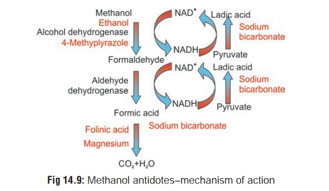 Methanol - Inebriant Neurotoxic Poisons