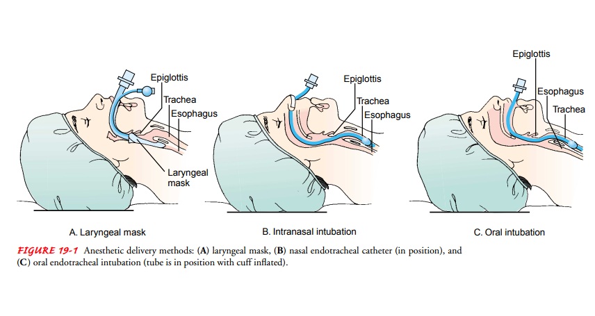 Methods of Anesthesia Administration - Surgical Experience
