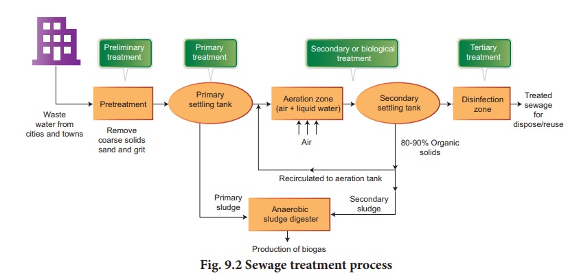 Microbes in sewage treatment and energy generation