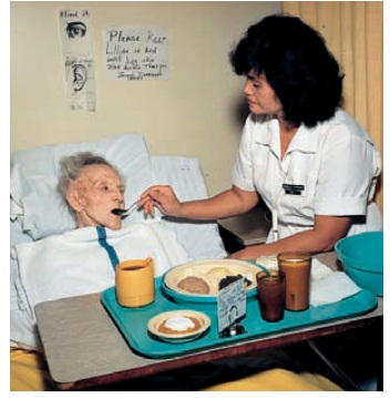 Nutritional Care: Feeding the Client