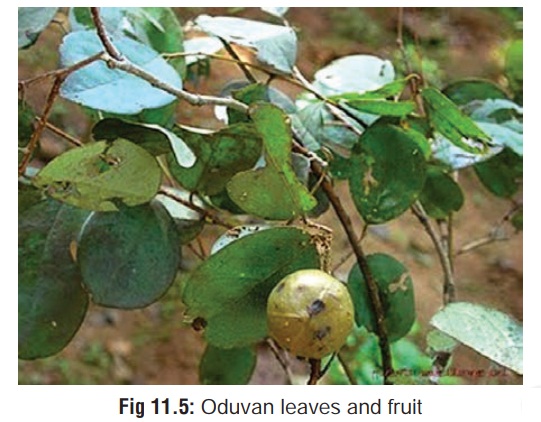 Oduvan - Organic Poisons (Toxins)