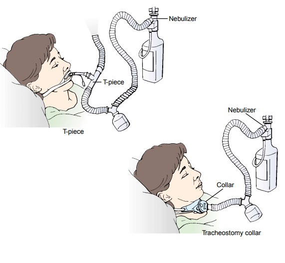 Oxygen Therapy - Noninvasive Respiratory Therapies
