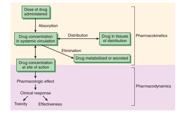 Pharmacokinetics & Pharmacodynamics: Rational Dosing & the Time Course of Drug Action