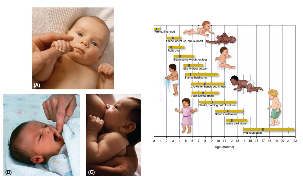 Physical and Sensorimotor Development in Infancy and Childhood