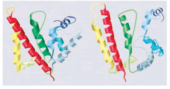 Protein Folding Dynamics