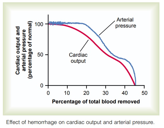 Relationship of Bleeding Volume to Cardiac Output and Arterial Pressure