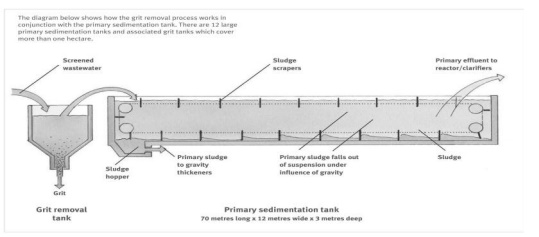 Sewage Treatment: Primary sedimentation tanks