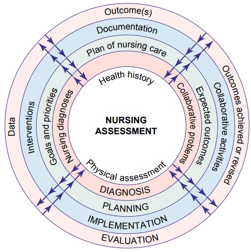 Steps of the Nursing Process