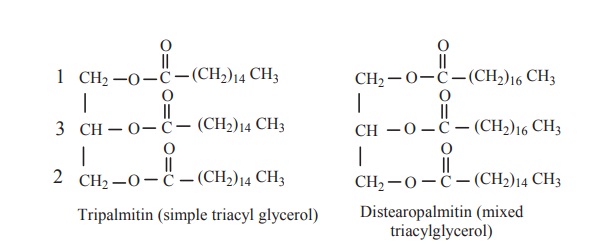 Structure of triacyl glycerol