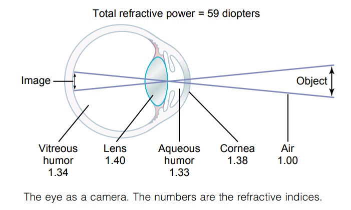 The Eye as a Camera - Optics of the Eye