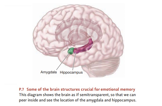 The Neural Basis of Emotional Memory