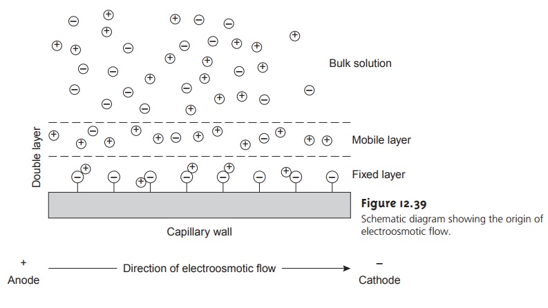 Theory of Capillary Electrophoresis