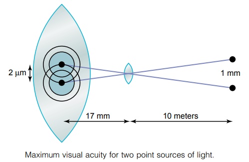 Visual Acuity - Optics of the Eye