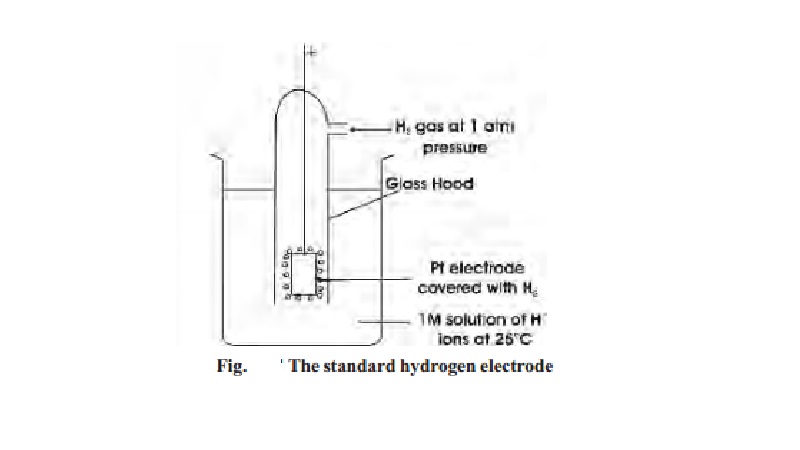 Single Electrode Potential