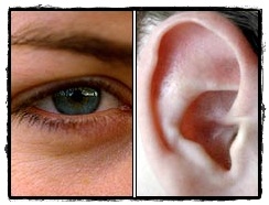 Preventing noise-induced hearing loss