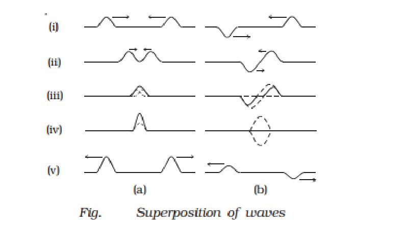 Superposition principle of waves