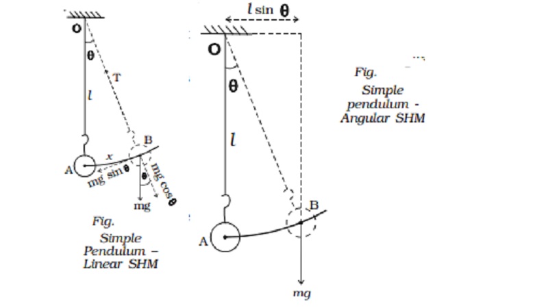 Oscillations of a simple pendulum