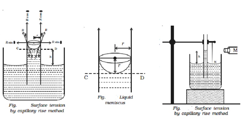 Experimental determination of surface tension of water by capillary rise method