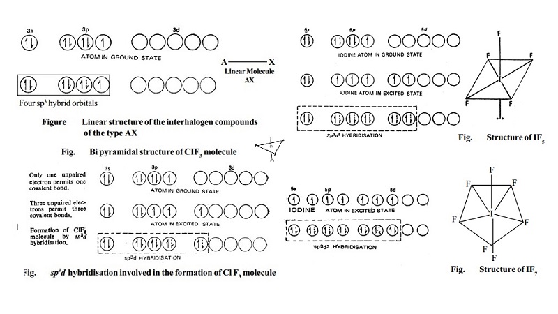 Structures of interhalogen compounds