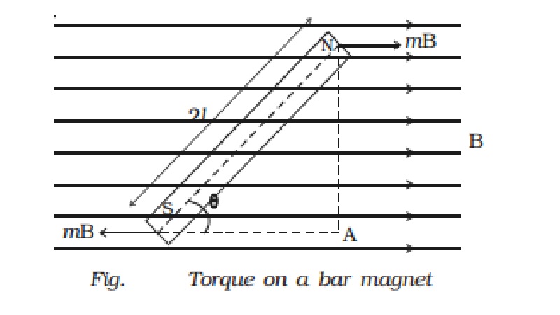 Torque on a bar magnet placed in a uniform magnetic field