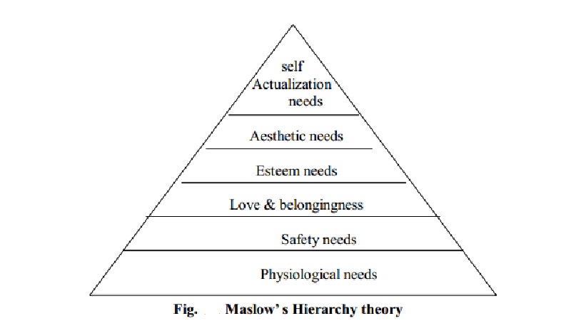 Psychology : Basic Needs and Maslow's Hierarchy theory