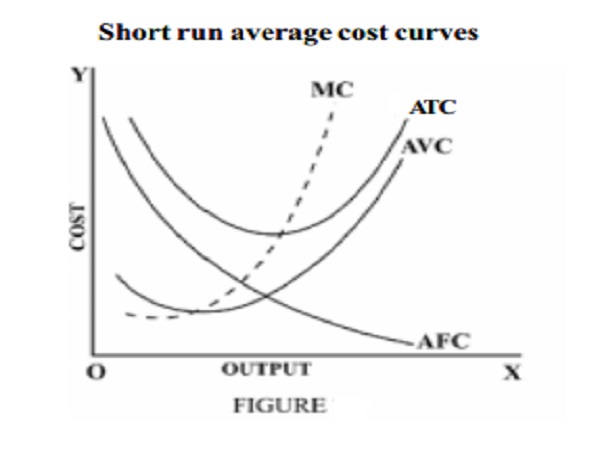 Short run average cost curves - Average Fixed, Average variable and Average Total Cost